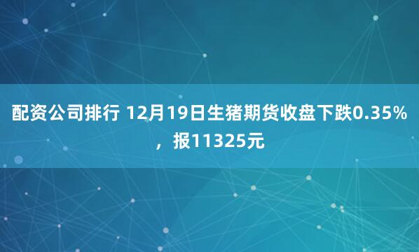 配资公司排行 12月19日生猪期货收盘下跌0.35%，报11325元